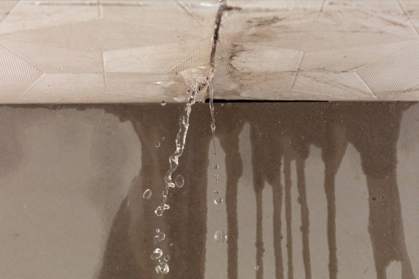 Professional Structural Drying technician working in Tad, WV